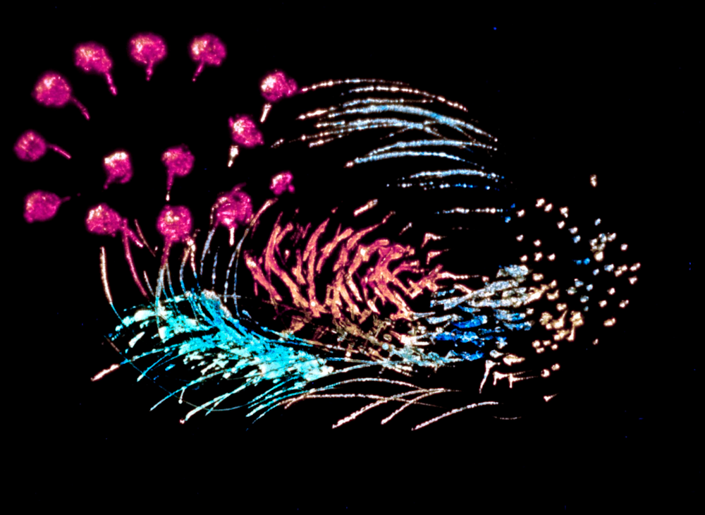 Norman Mclaren A Late Great Animator Now Drawing Applause