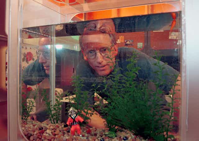 Man peering through an aquarium.