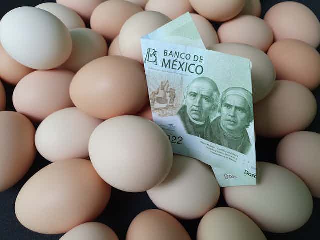 un billete de 200 pesos mexicanos entre un montón de huevos.