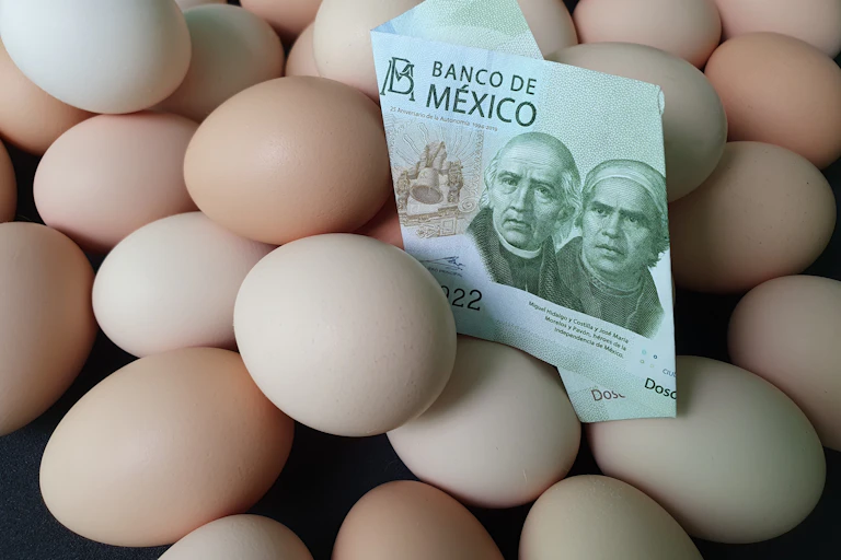 un billete de 200 pesos mexicanos entre un montón de huevos.