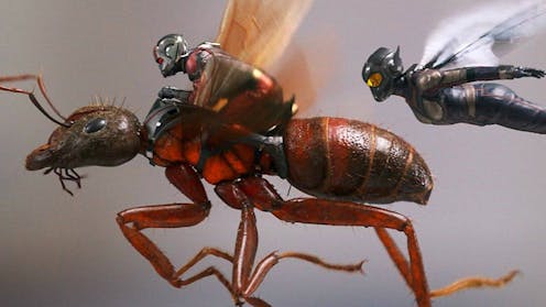 From deadly jaws and enormous strength to mushroom farming, Ant-Man is only tapping into a portion of the real superpowers of ants