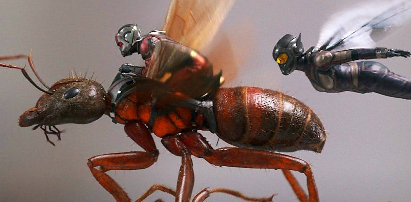 From deadly jaws and enormous strength to mushroom farming, Ant-Man is ...