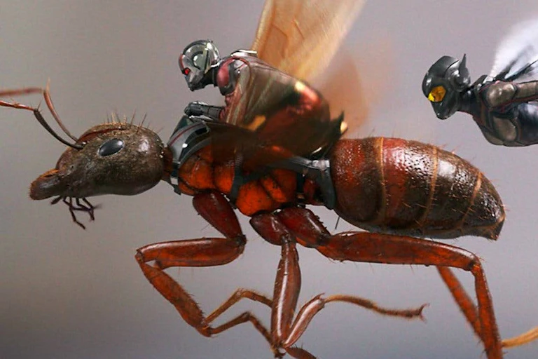 Ant-sized superheroes flying with a real ant