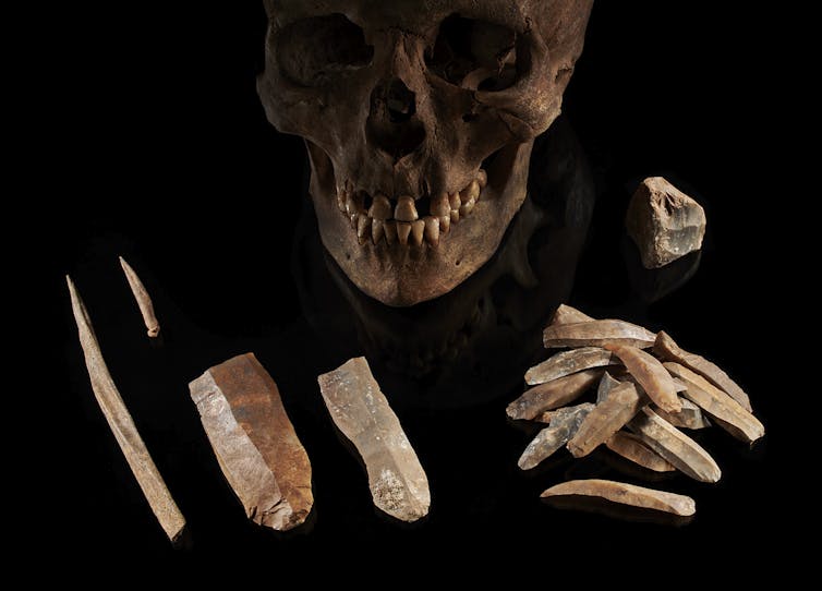 Fragments of bones and a skull on a dark background