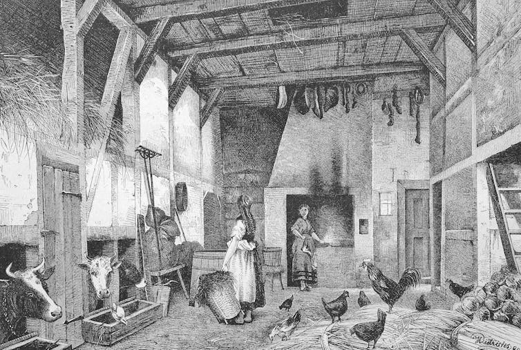 Drawing of animals and people living together in a barn style house.