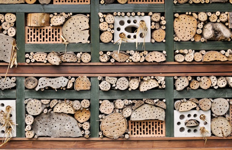 Muro com auxiliares de nidificação para insetos.