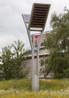 Tower for swift to nests in.