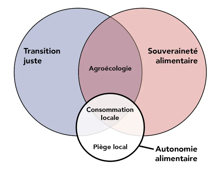 Graphique représentant l’autonomie alimentaire par rapport à la transition juste et la souveraineté alimentaire