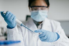 Woman in lab coat, face mask, goggles and gloves squeezes syringe into petri dish