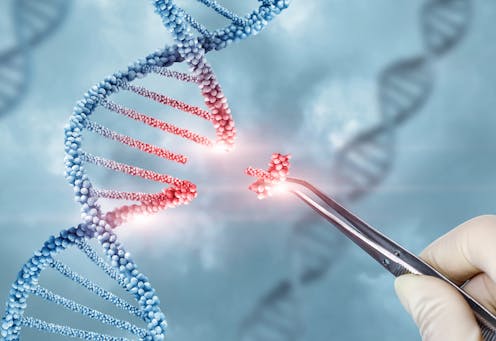 Erasing or replacing errors in a patient's genetic code can treat and cure some genetic diseases