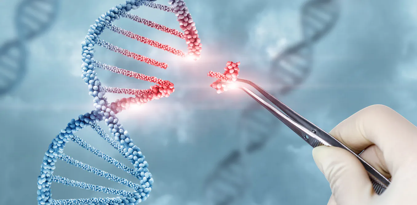 Erasing or replacing errors in a patient’s genetic code can treat and ...
