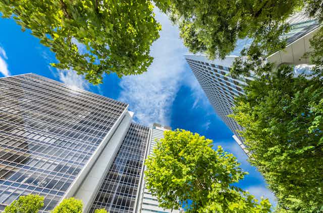 Upward shot of skyscraper buildings and deciduous trees reaching up towards a blue sky with white, wispy clouds