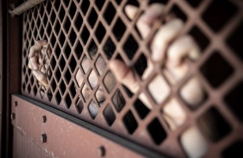 Health care offered to women in prison should match community standards – and their rights