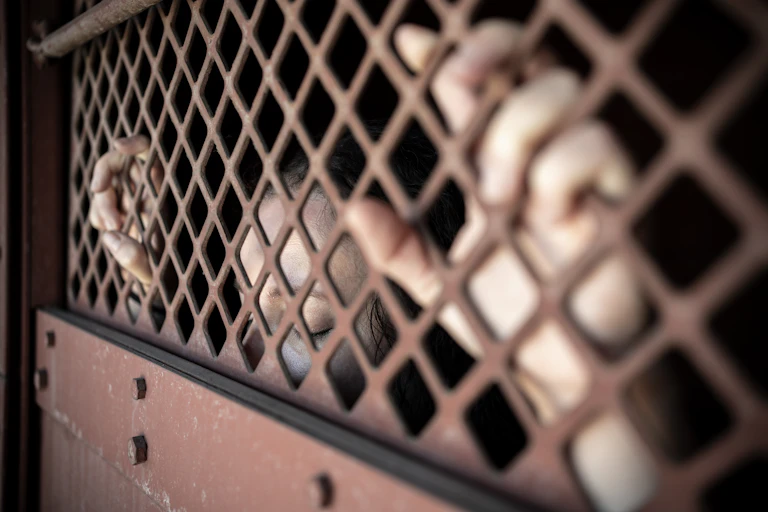 A person stands with their face through prison bars.