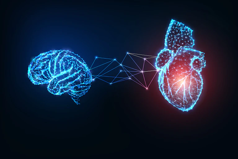 Illustration of a brain and a heart against a black background