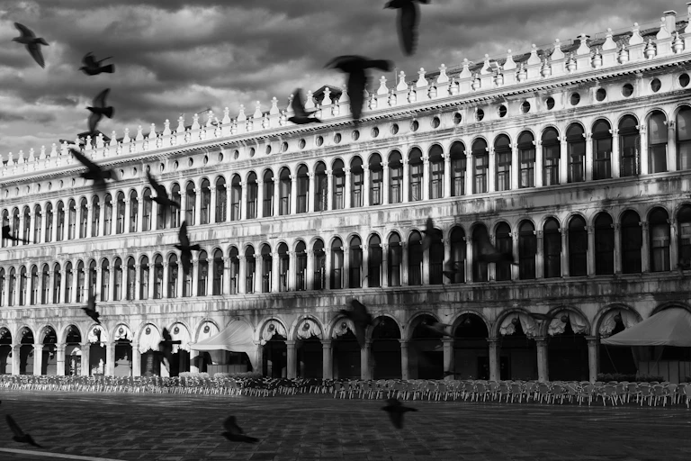 Fotografía en blanco y negro de la plaza de San Marcos con palomas sobrevolando.