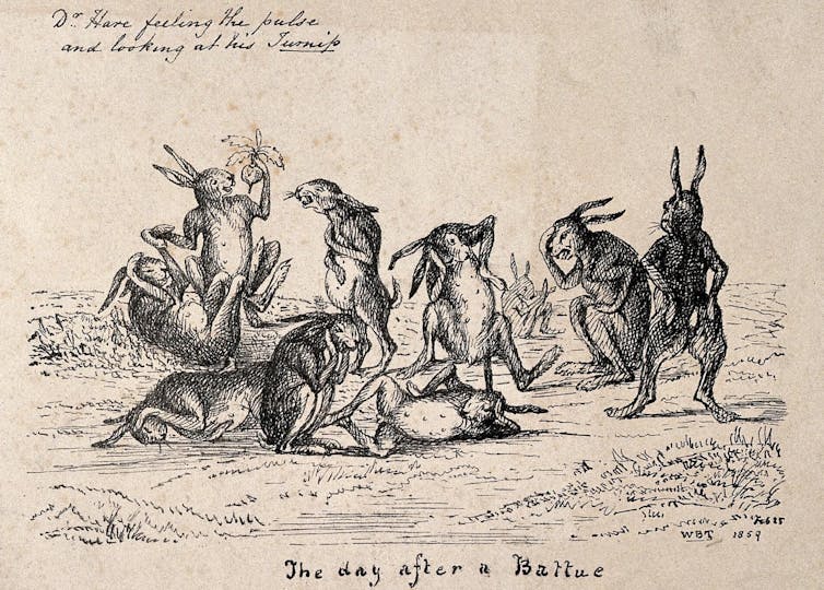 A group of hares recovering after a fight, one of them taking another's pulse and another eating a turnip.