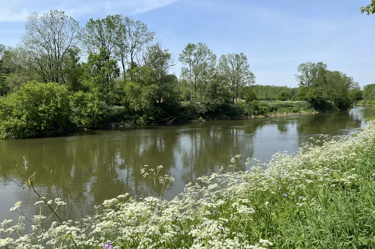 A river
