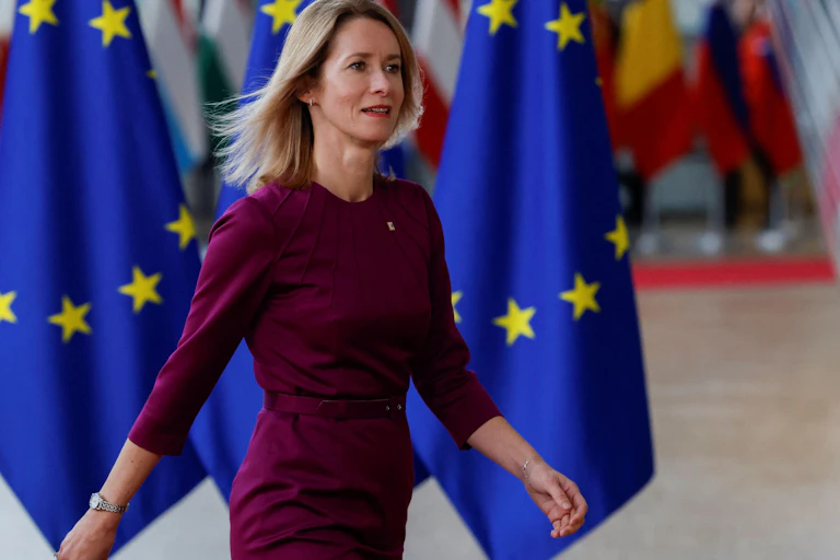 A woman in a purple dress walks past EU flags.