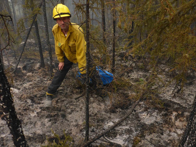 Man in yellow jacket and hard hat stands in burnt forest.