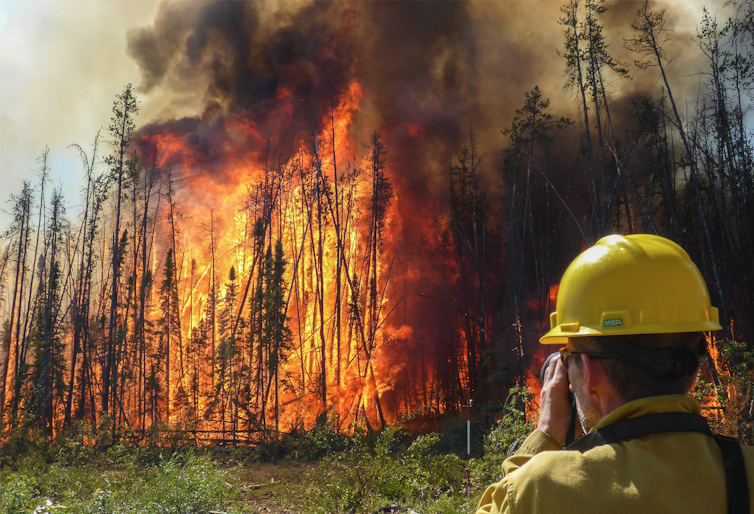 Man in yellow hard hat looks at raging forest fire in mid-distance.