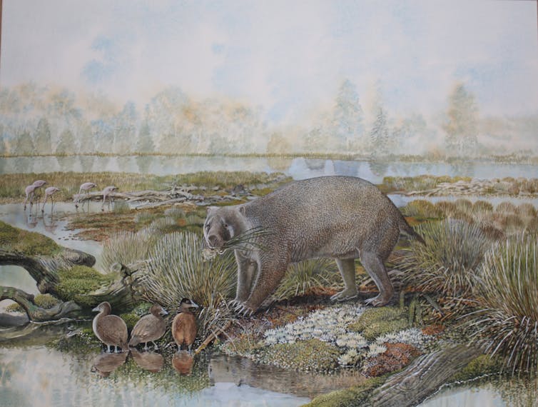 Illustration of a flat landscape with an odd, grey wombat-like animal with slender legs standing by a pond