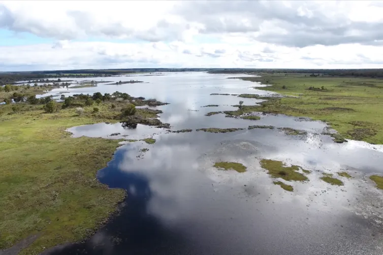 Fish traps in the landscape.