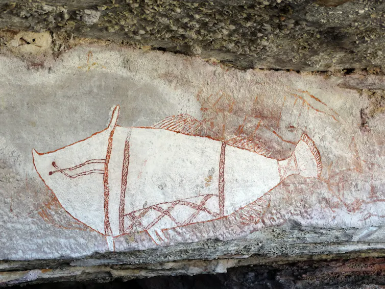 Rock art depicting a barramundi.
