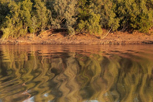 Everywhen explores Indigenous deep history, challenging linear, colonial narratives