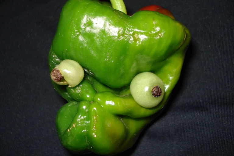 green bell pepper head, misshapen, "eyes".