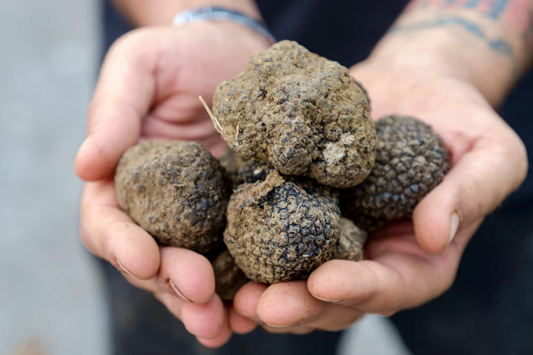 A handful of truffles.