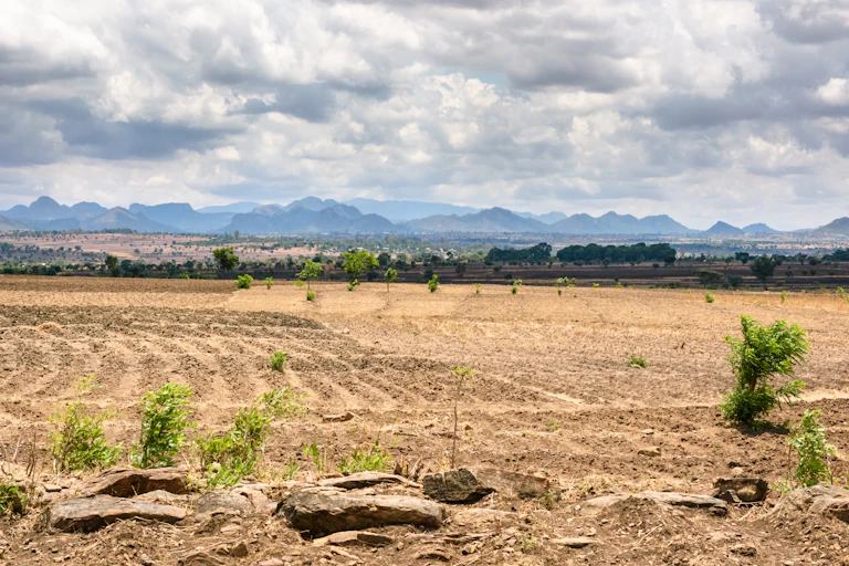 paysage aride en afrique