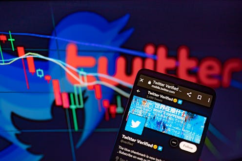 Should you pay for Meta's and Twitter’s verified identity subscriptions? A social media researcher explains how the choice you face affects everyone else