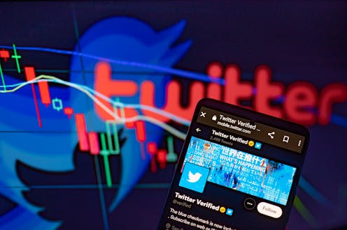 Should you pay for Meta’s and Twitter’s verified identity subscriptions? A social media researcher explains how the choice you face affects everyone else