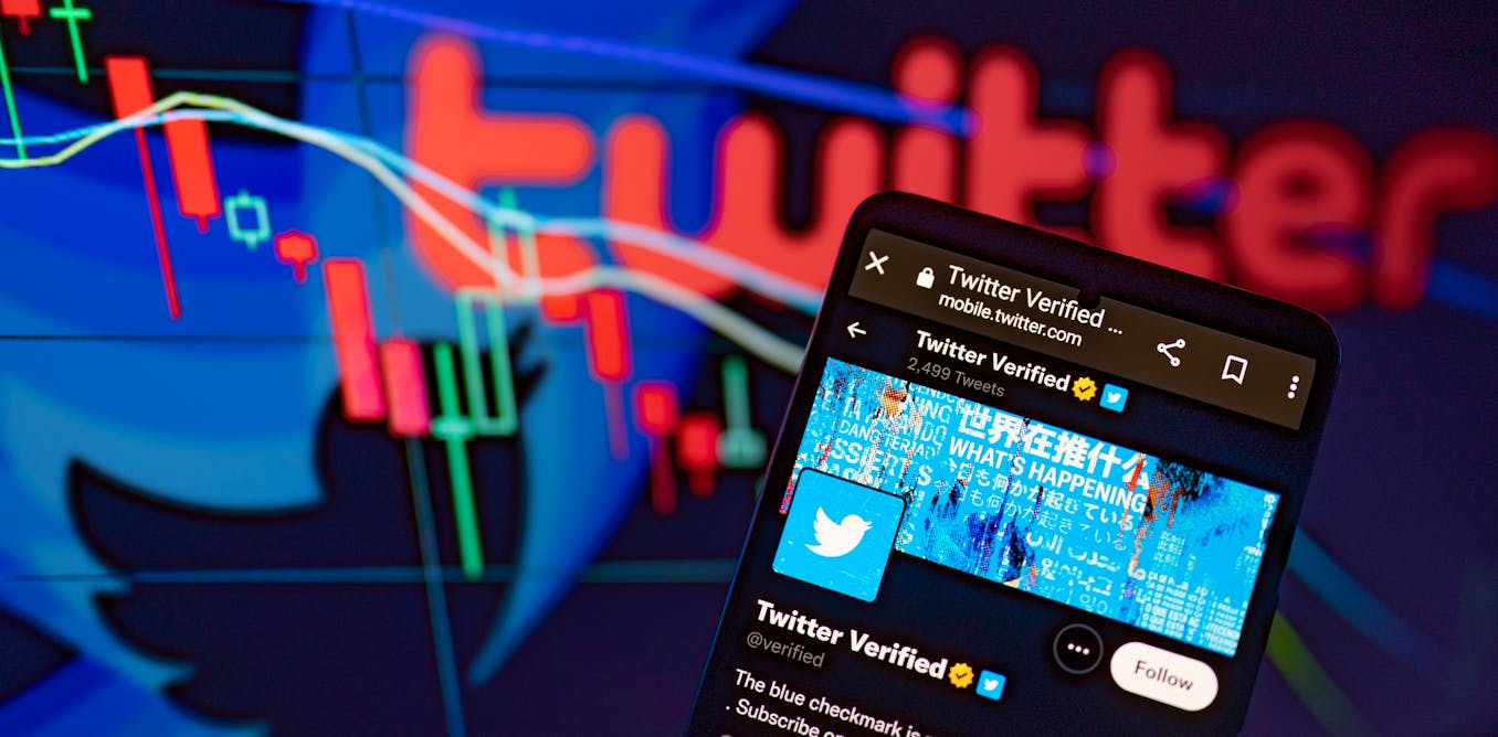Should You Invest In Twitter Blue Or Meta Verified?