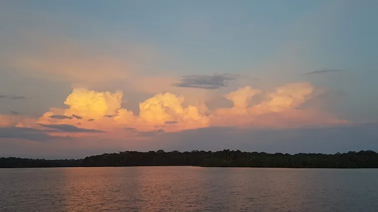 Fluffy clouds over distant forest at dusk.