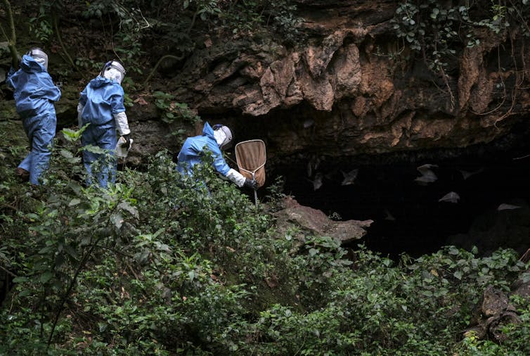 Researchers approaching Bat Cave in Queen Elizabeth National Park