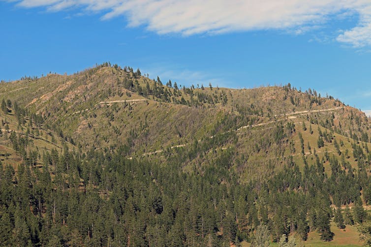 Steep hills studded with evergreen trees and laced with narrow roads.