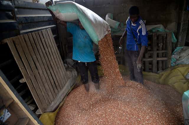 A vendor discharges a bag of beans on the floor for filtering at a market in Mowe, Ogun State in southwest Nigeria
