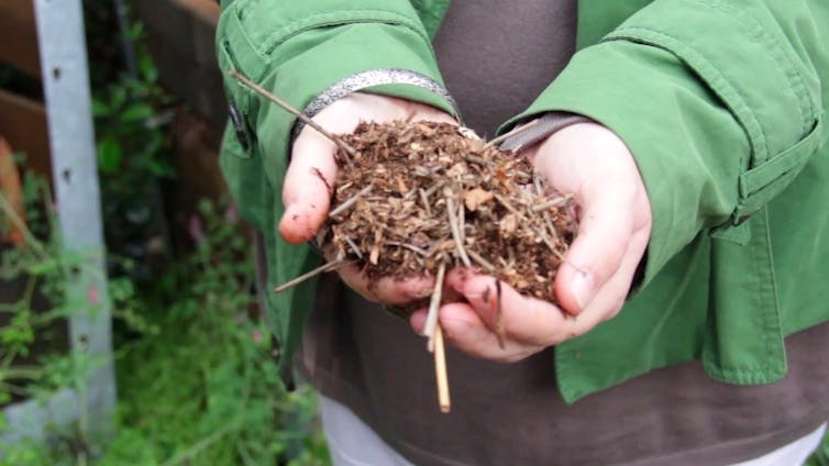 Un enfant tient une matière compostée dans ses mains