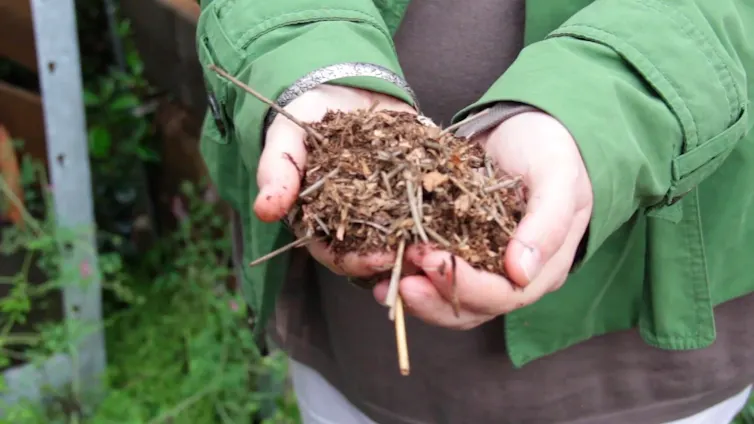 Un enfant tient une matière compostée dans ses mains