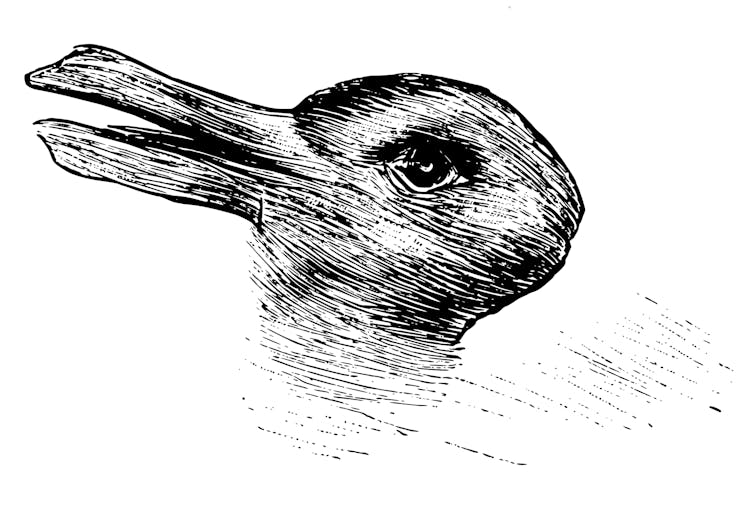 Black and white drawing which looks like both a rabbit and a duck