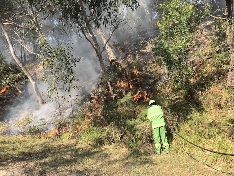 A QYAC Ranger in protective overalls hoses down trees and areas of value to protect them from the planned burn
