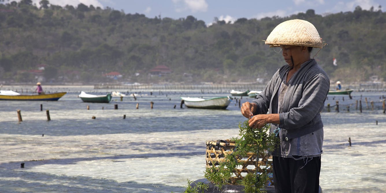 3 ways to help Indonesia grow more seafood from aquaculture, with less localimpact
