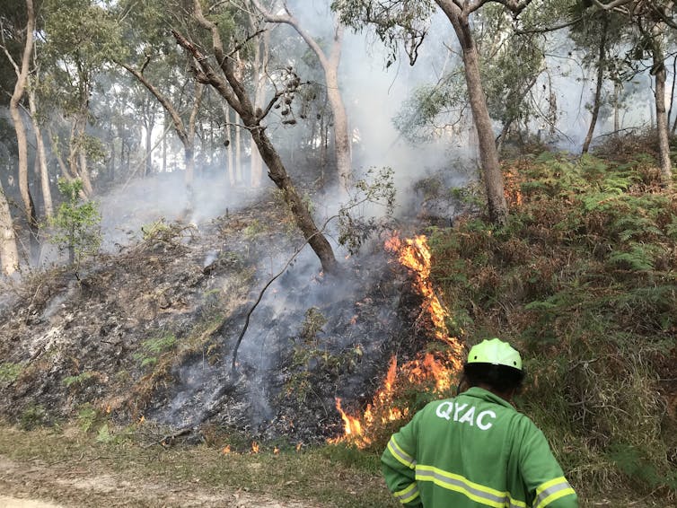 A person in protective green overalls with their back to the camera during a blanned burn