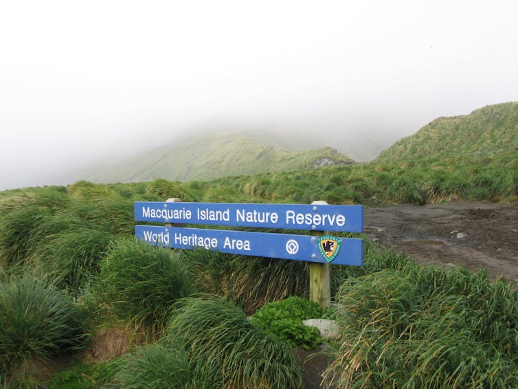 Blue sign on foggy hillside
