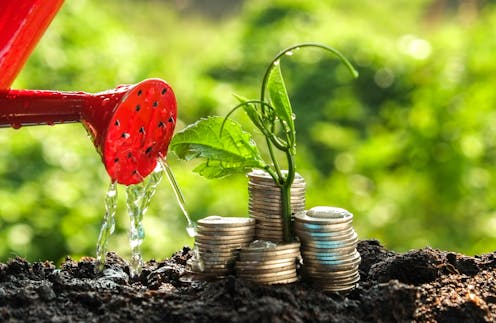 Economic growth doesn't have to mean 'more' – consuming 'better' will also protect the planet