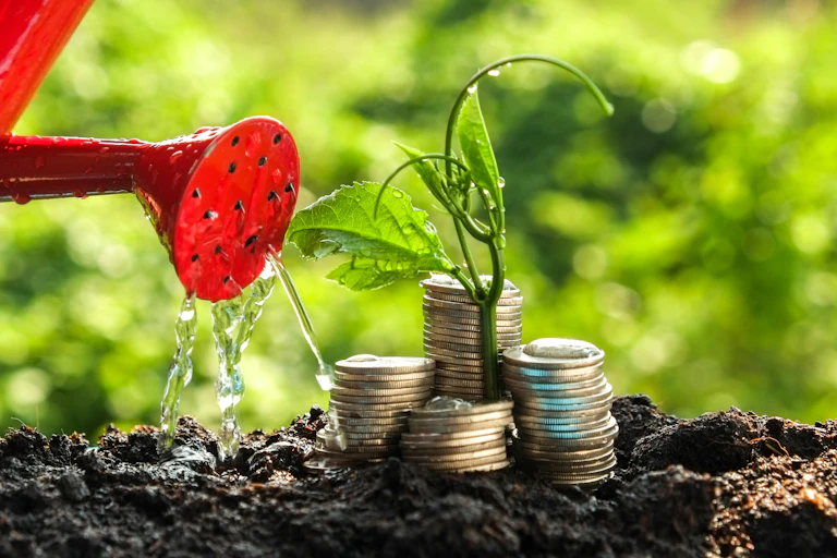 Money growth concept plant growing out of coins