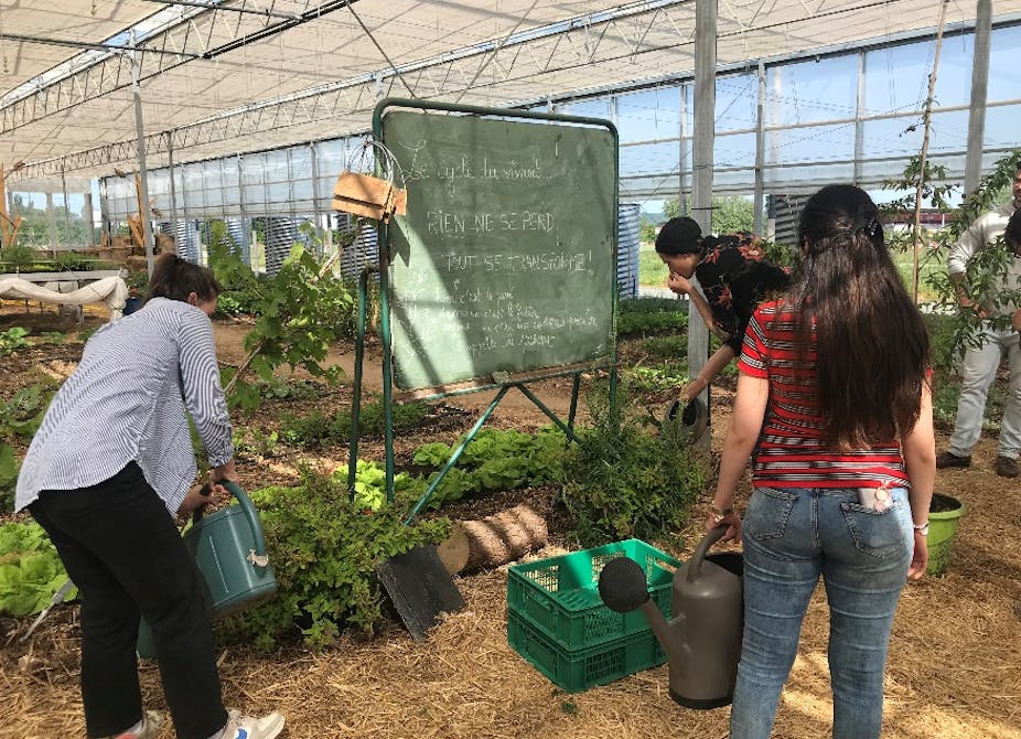 Cultiver les sols d’une métropole au lourd passé industriel, est-ce une bonne idée ?