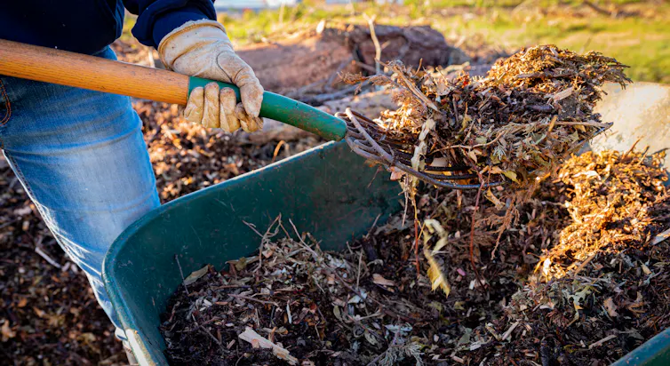 personne qui déplace son compost de jardin dans une brouette